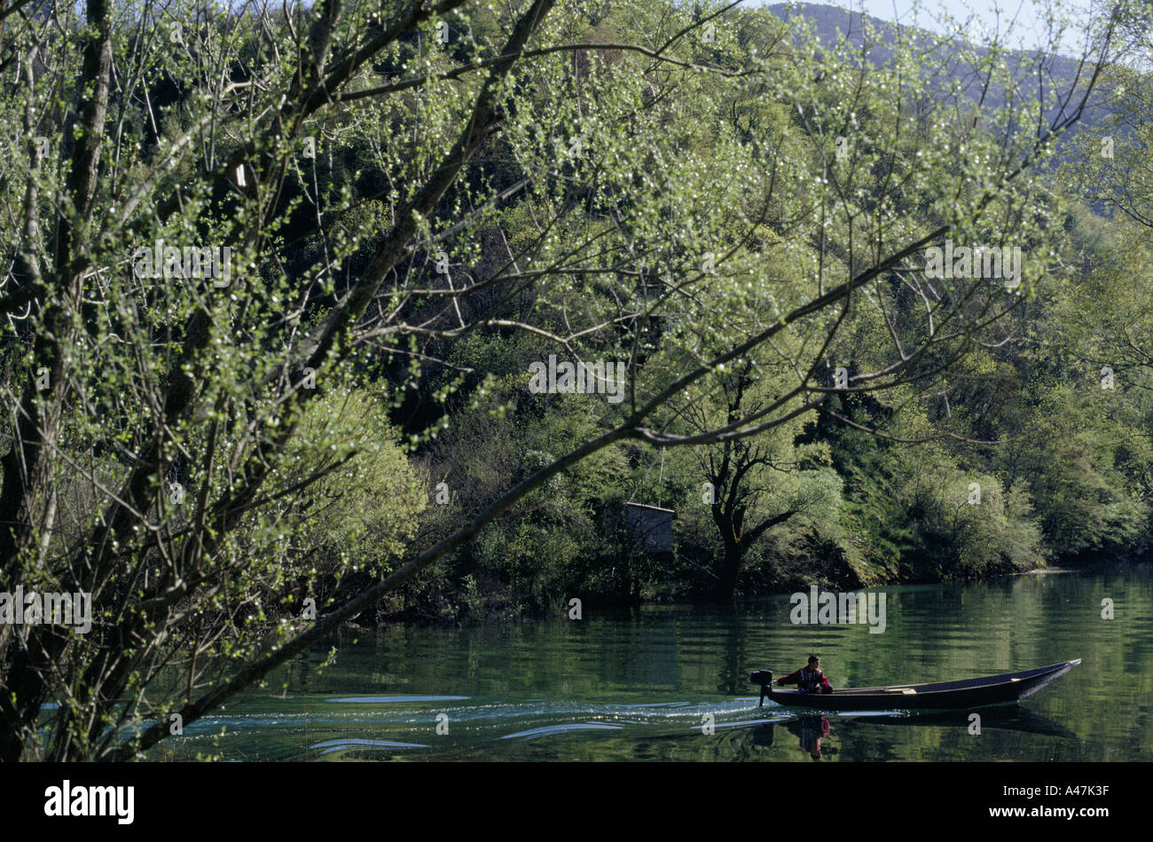 fishing boat on edge of lake skadar  perovac montenegro Stock Photo