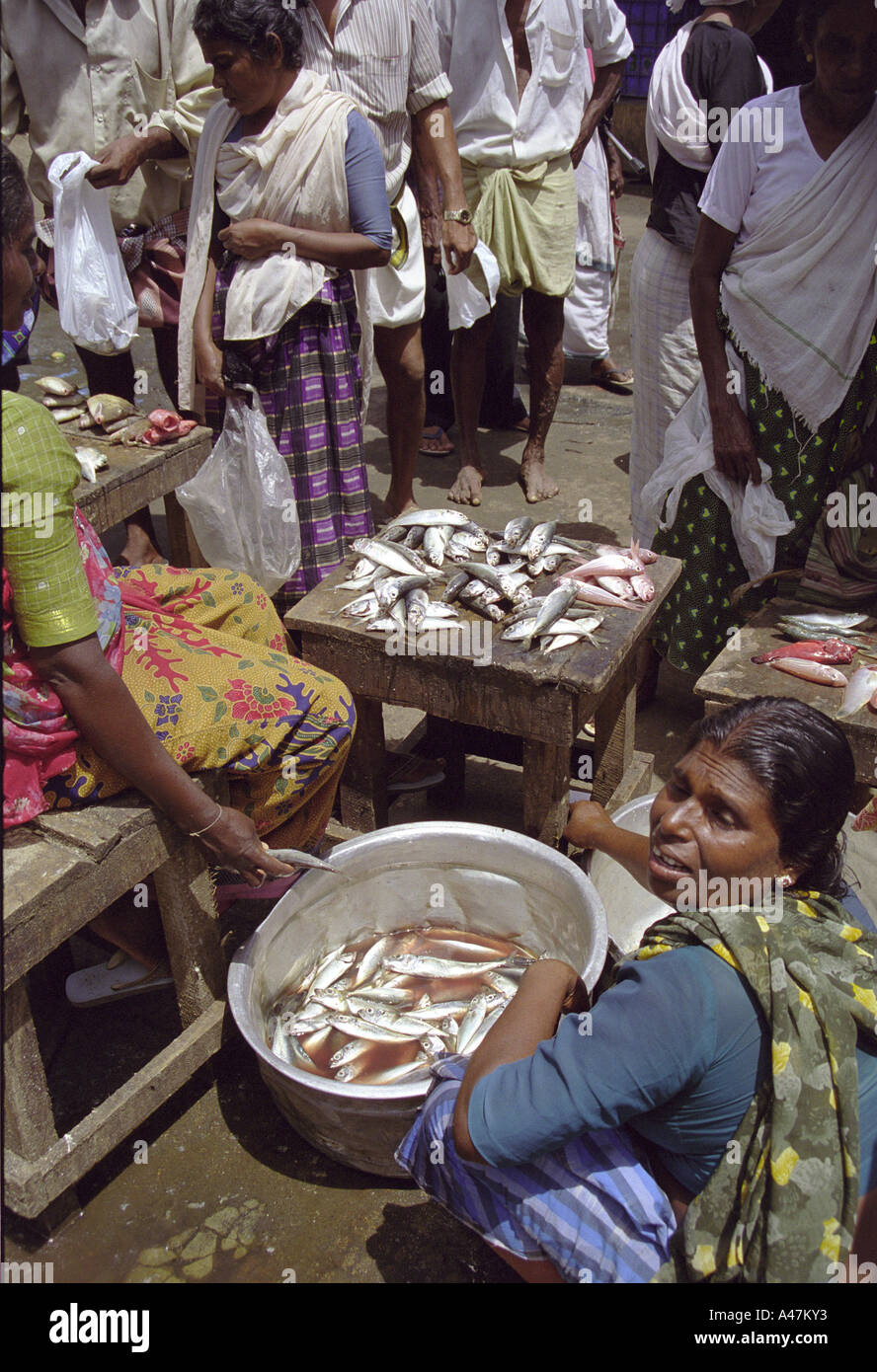 Women selling fresh fish at open air fishmarket by highway between