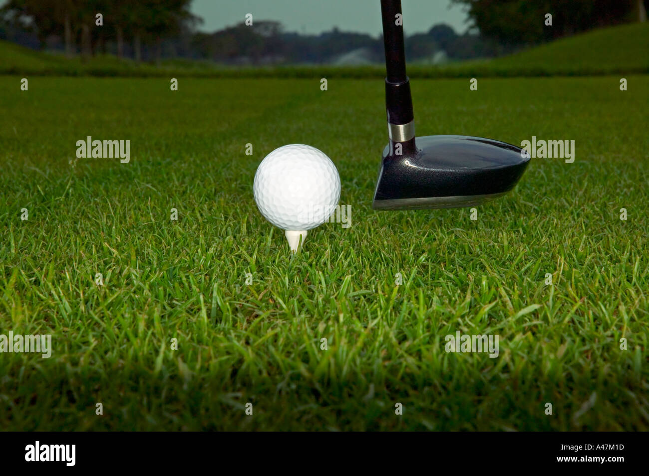 Golf ball and putter Stock Photo Alamy