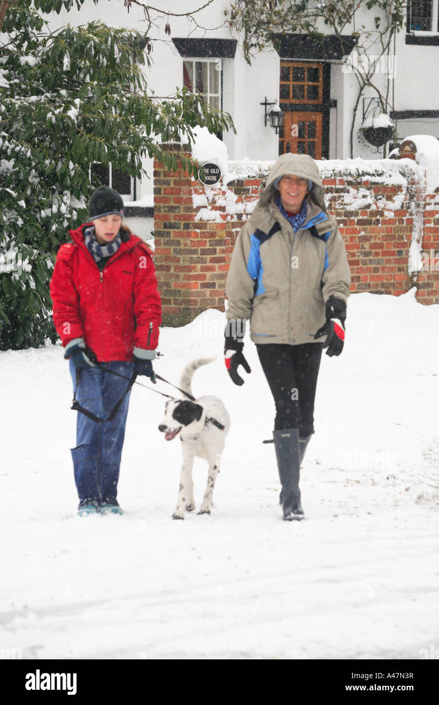 Walking the dog in snow Stock Photo Alamy