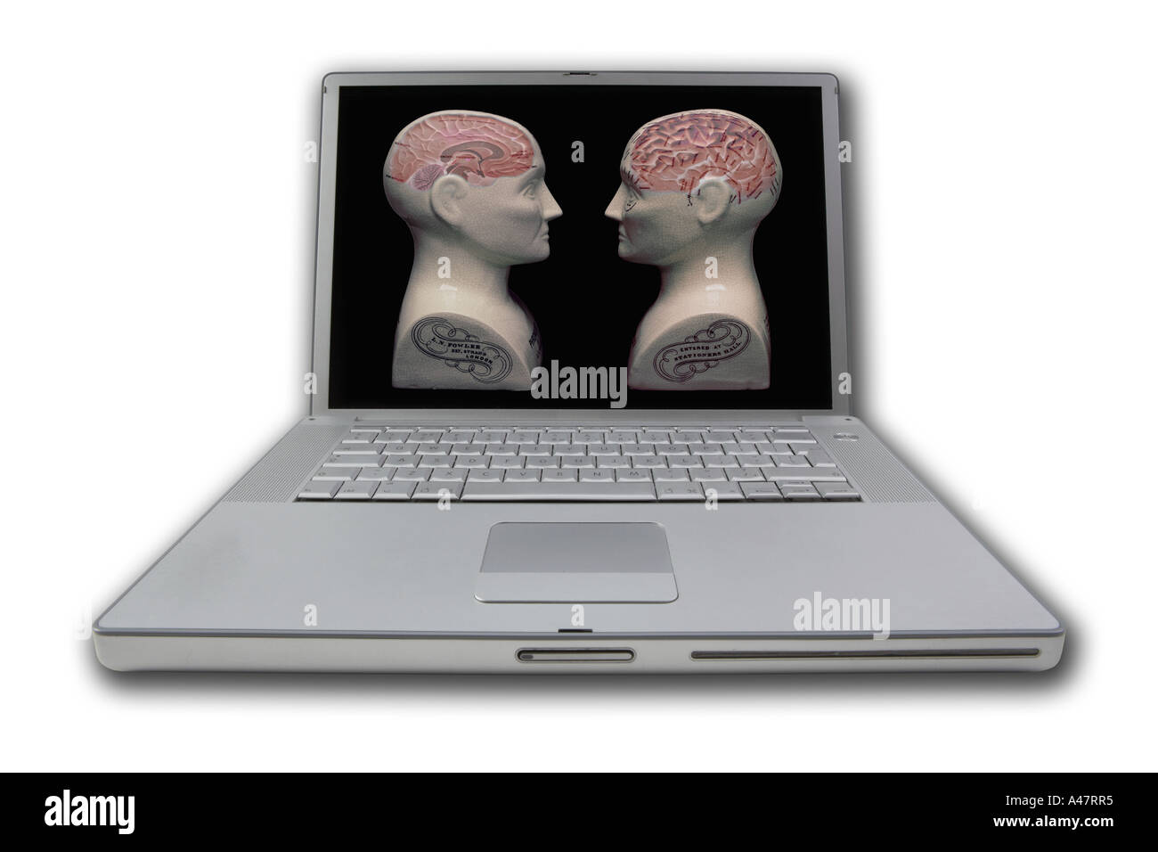 LAP TOP NOTE BOOK COMPUTER ON WHITE BACKGROUND DISPLAYING PICTURE OF TWO PHRENOLOGY HEADS Stock Photo