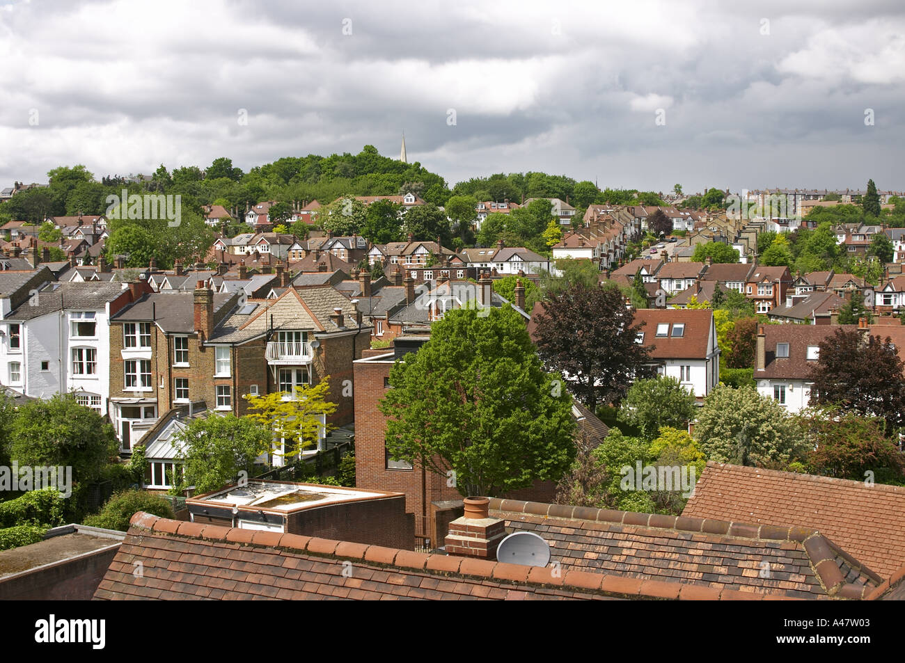View of Suburban houses trees and rooftops of Muswell Hill London N10 Stock Photo