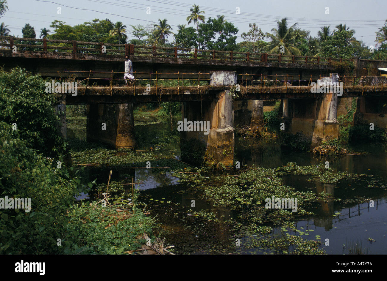 A man dressed in a lunghi walks across a bridge near the village of Aymenam that crosses the Backwaters of Kerala, India Stock Photo