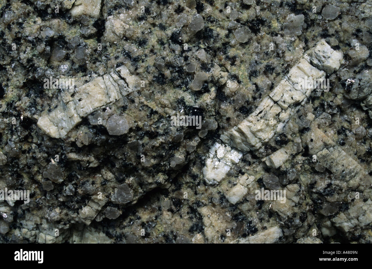 Feldspar crystals in granite Cornwall England UK Europe Stock Photo Alamy