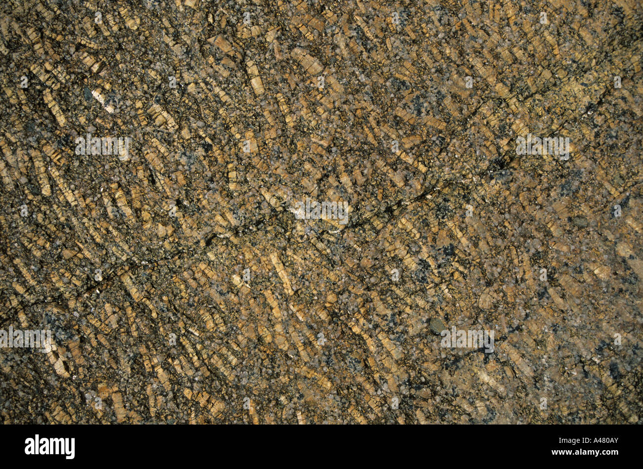 Feldspar crystals in granite Cornwall England UK Europe Stock Photo Alamy