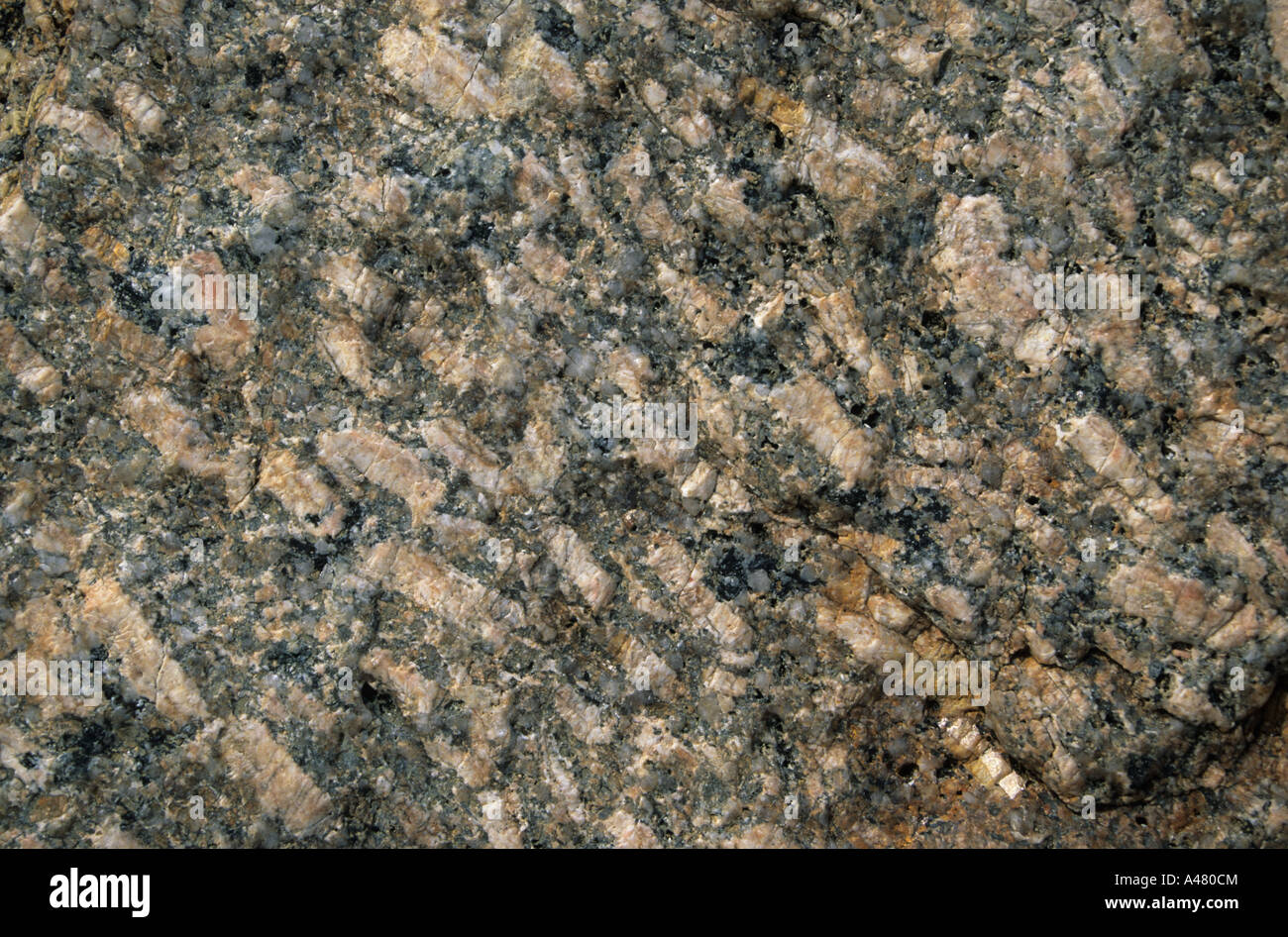 Feldspar crystals in granite Cornwall England UK Europe Stock Photo Alamy