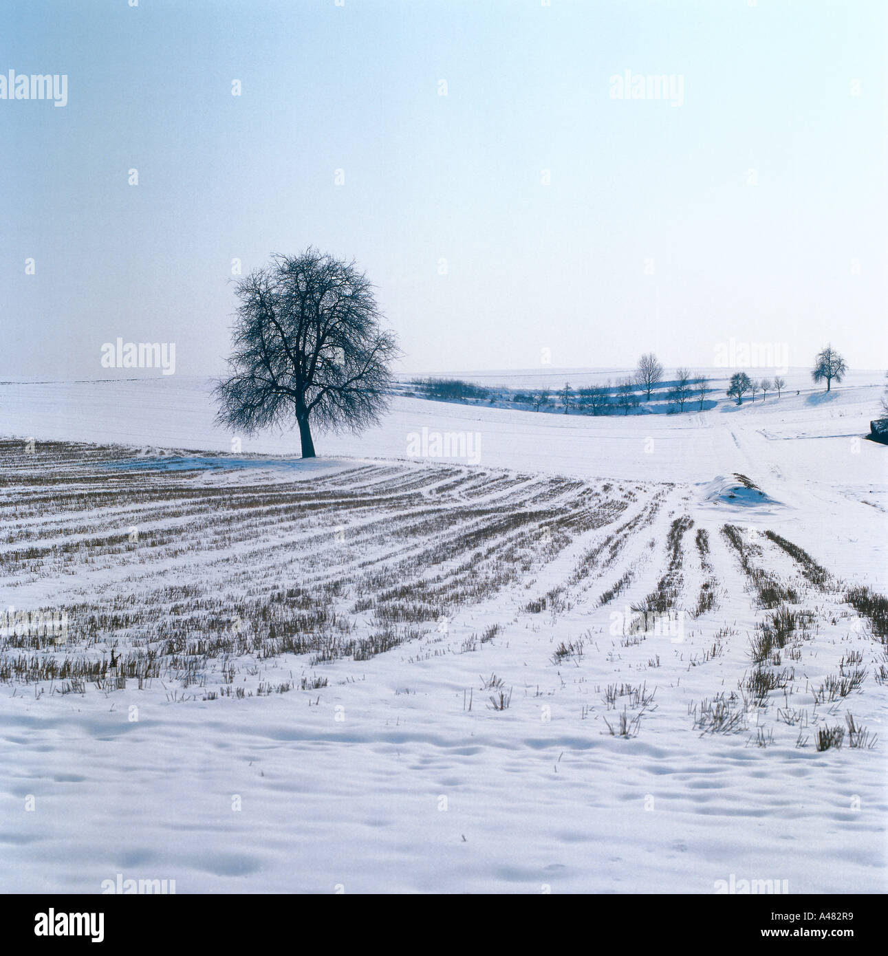 Fields winter germany hi-res stock photography and images - Alamy
