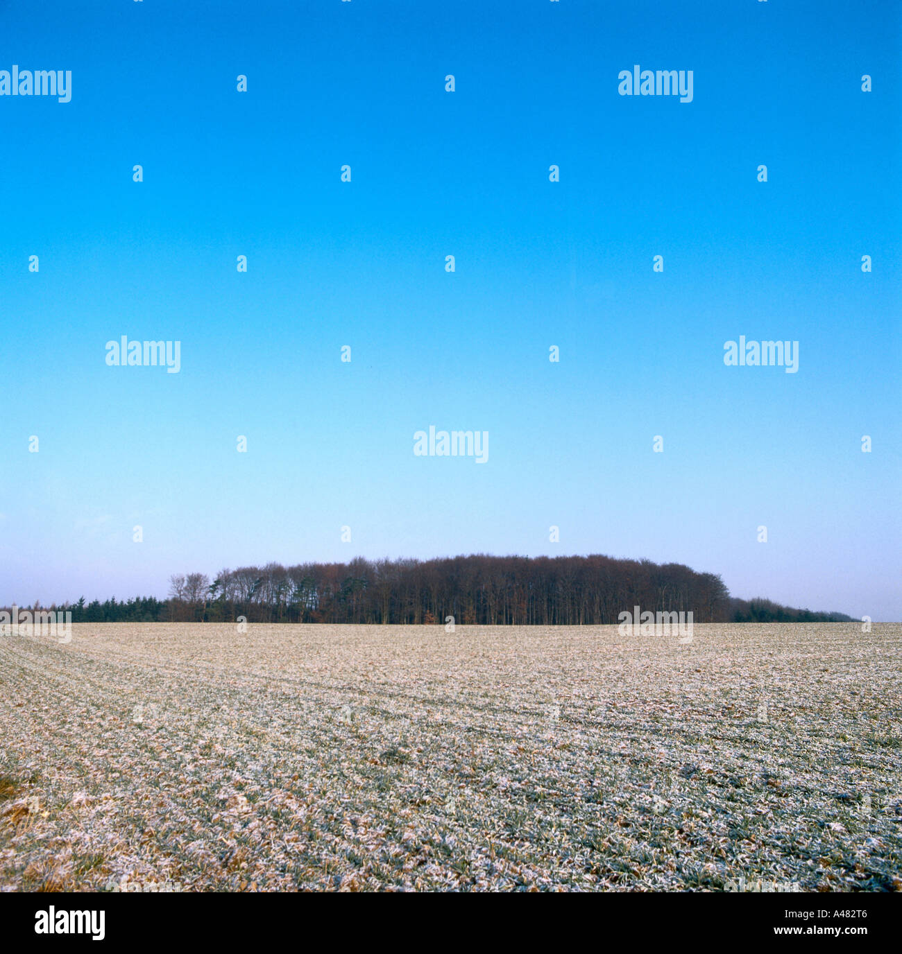 Field in front forest hi-res stock photography and images - Alamy