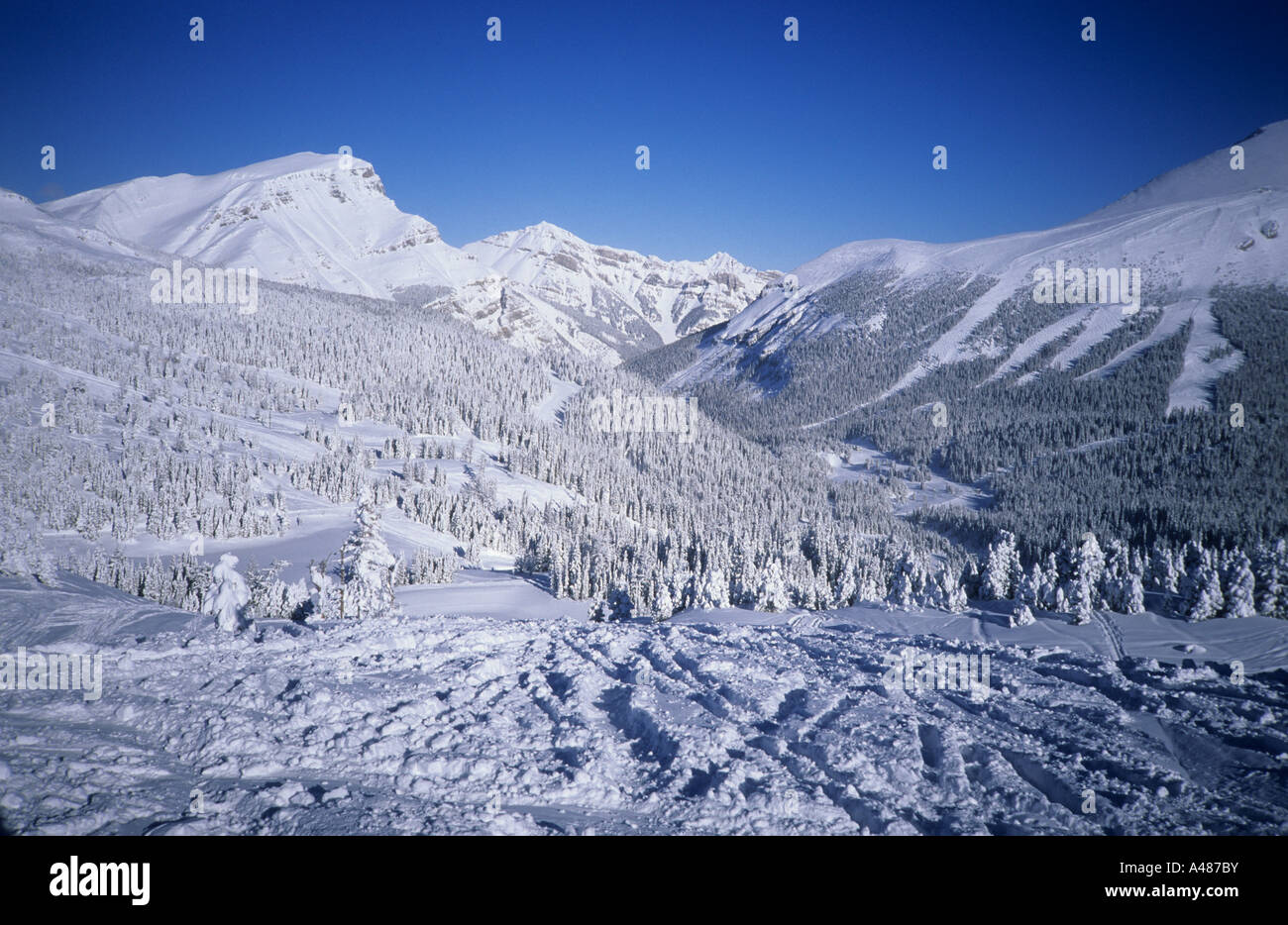 Lake louise winter hi-res stock photography and images - Alamy