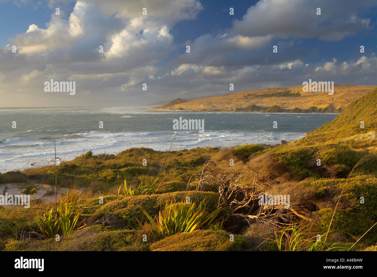 the entrance to Hokianga Harbour from the Arai Te Uru headlands on the wild west coast of the North Island New Zealand NR Stock Photo