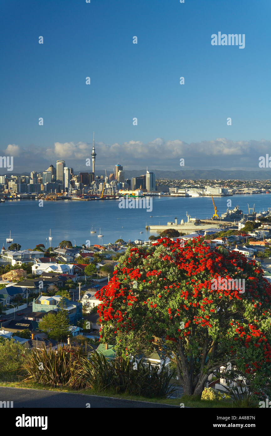 the City Centre with the Skytower waterfront docks from Devonport with a pohutukawa tree on Mt Victoria in the foreground Auckla Stock Photo