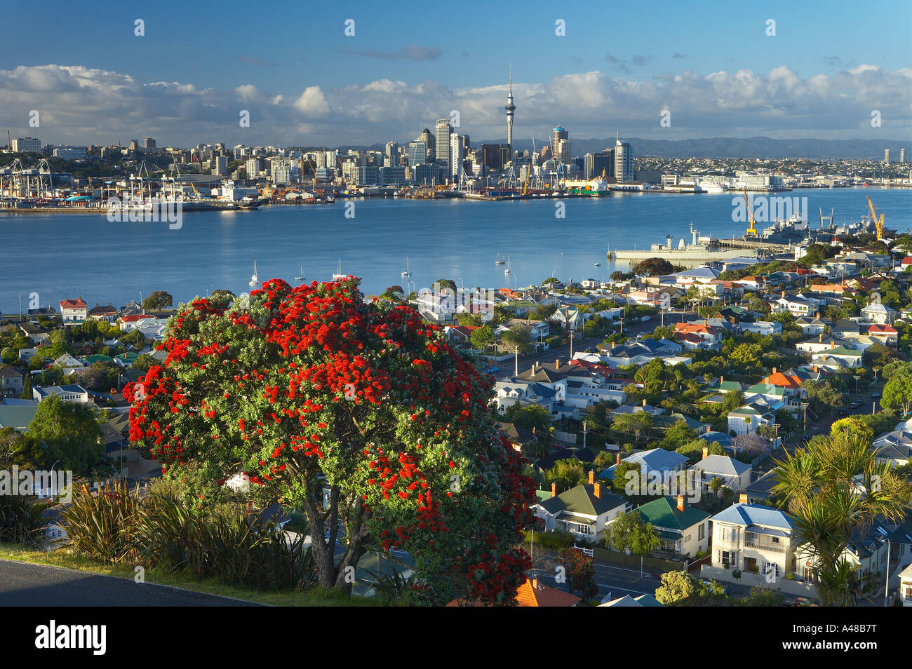 Auckland city with the Skytower waterfront, New Zealand Stock Photo
