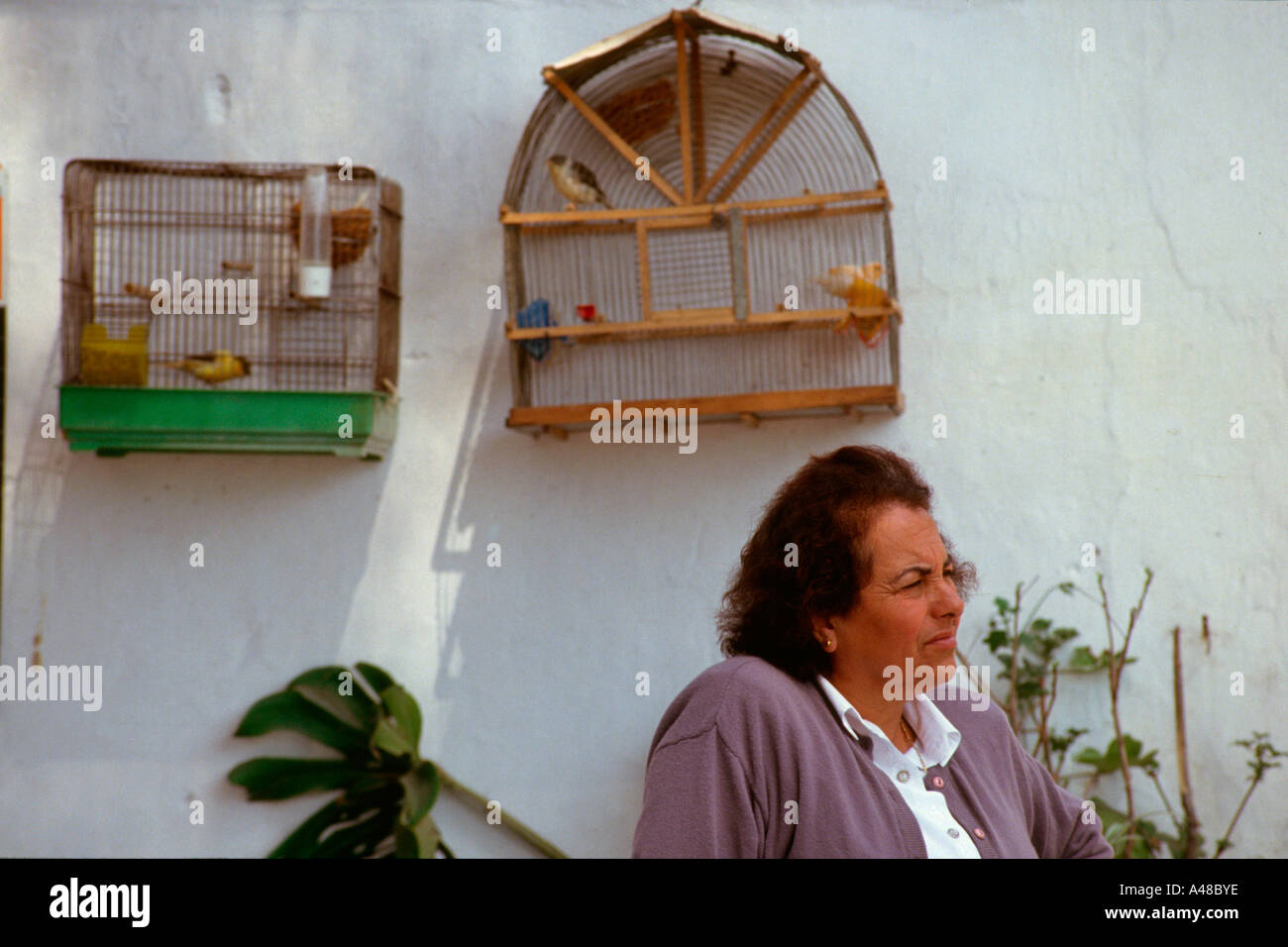 Woman and bird cages / Lagos Stock Photo