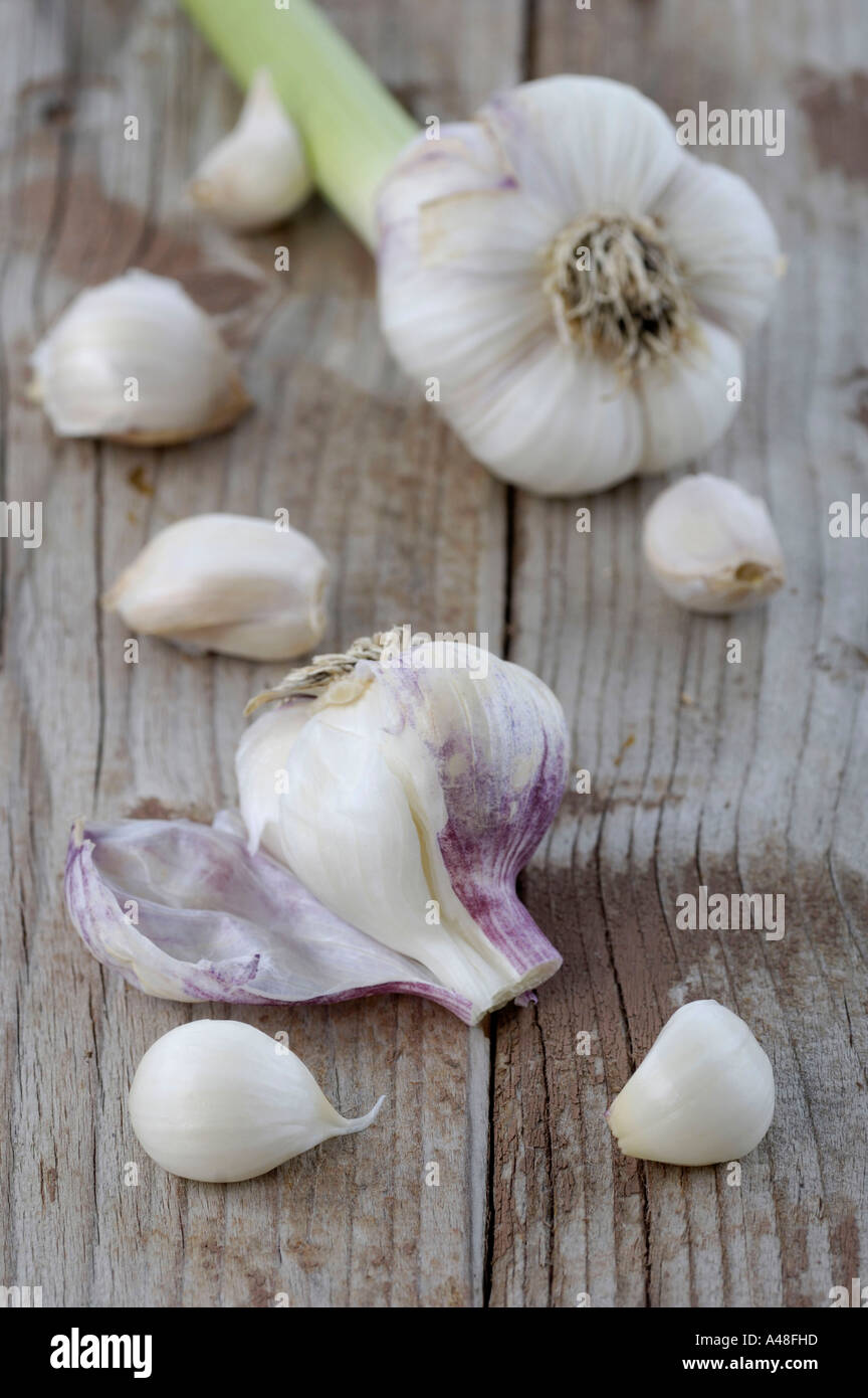 Of garlic hi-res stock photography and images - Alamy