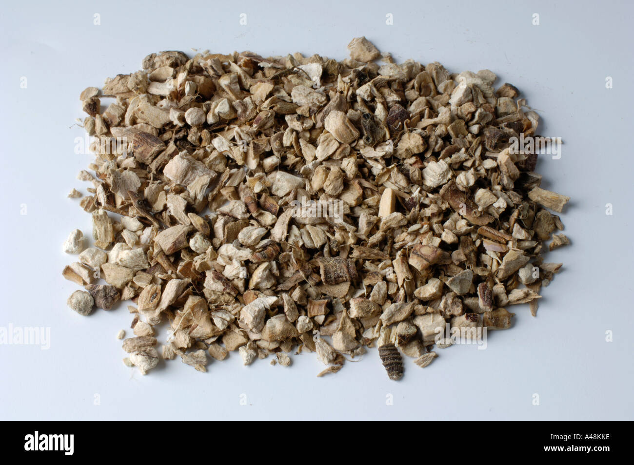 Calamus Root / Sweet Flag Stock Photo