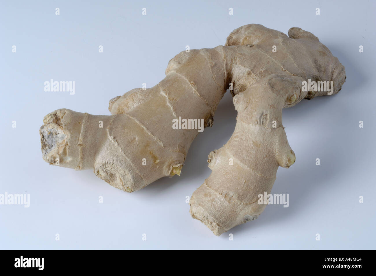 Common Ginger roots Stock Photo - Alamy