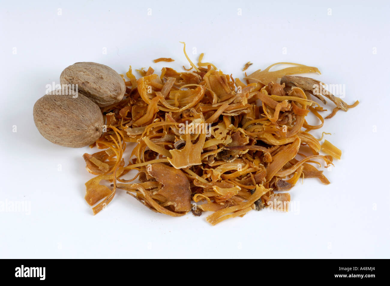 Nutmeg plants hi-res stock photography and images - Alamy