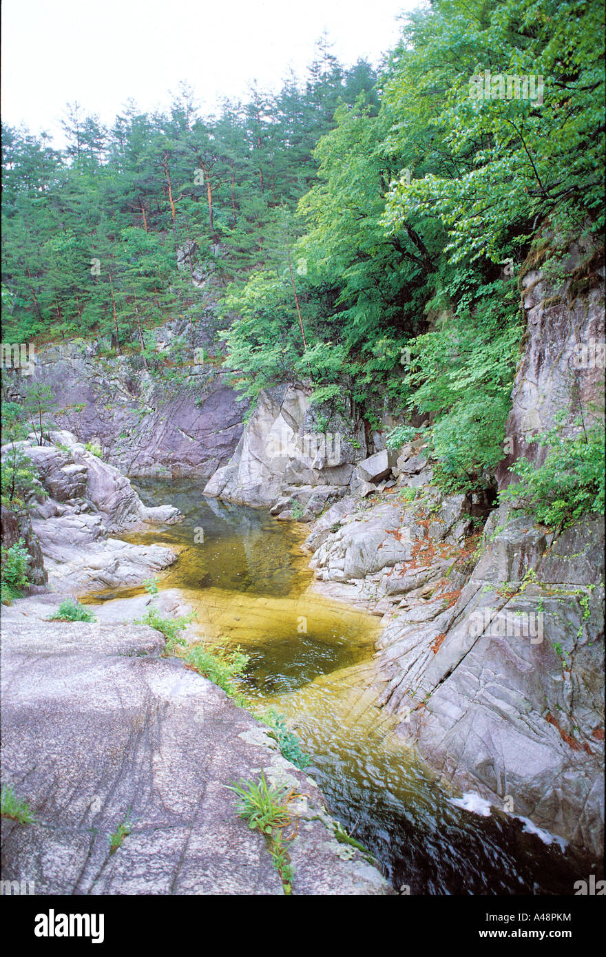 Stream water flowing forest hi-res stock photography and images - Alamy