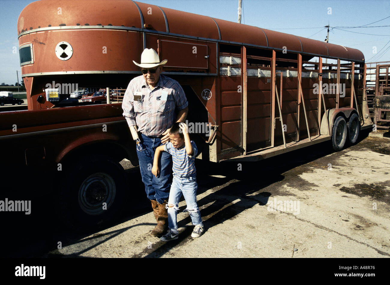 Cattle Auction America Stock Photos Cattle Auction America Stock