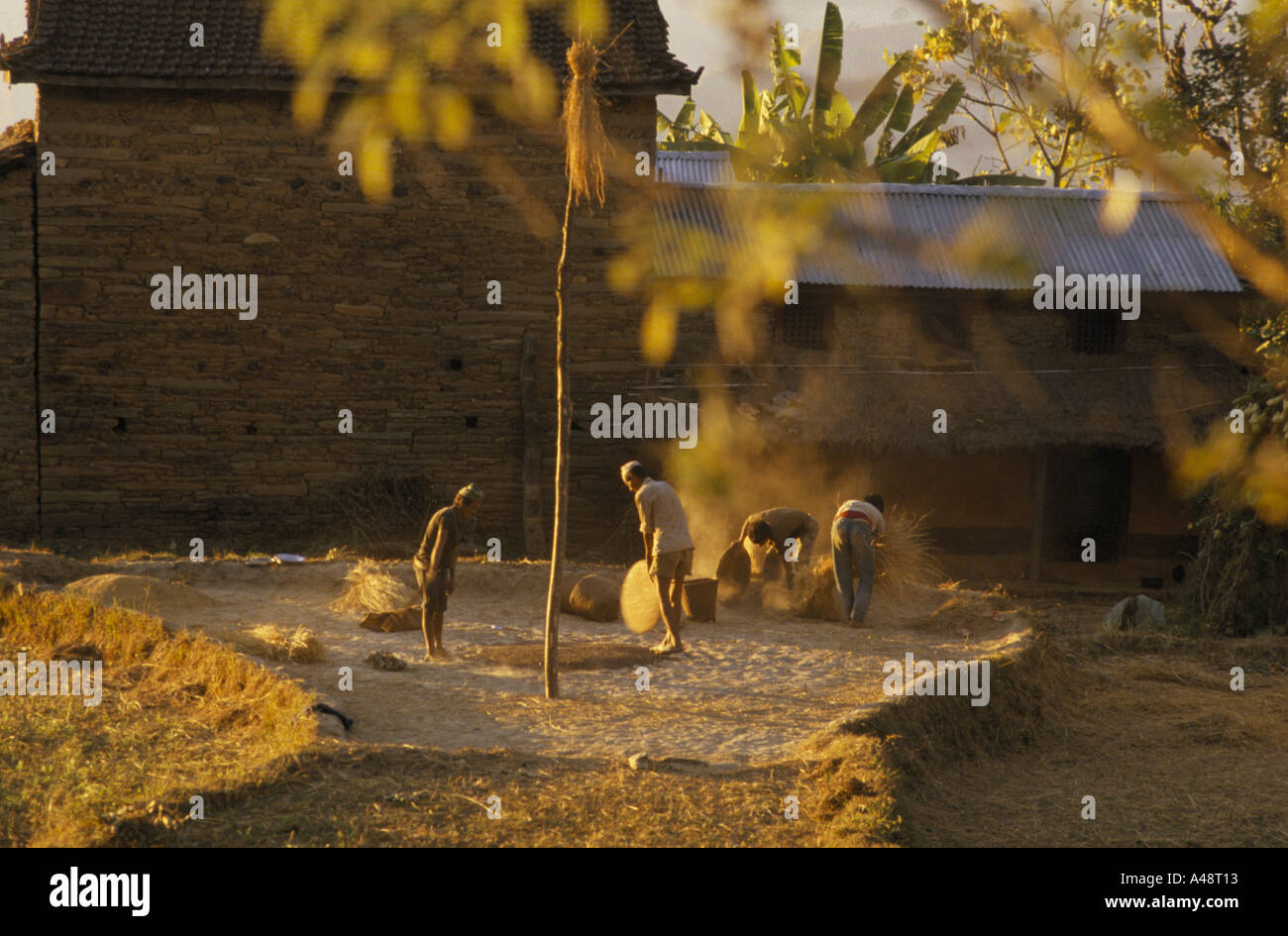 Men threshing corn near annapurna himalayas nepal  1988 Stock Photo