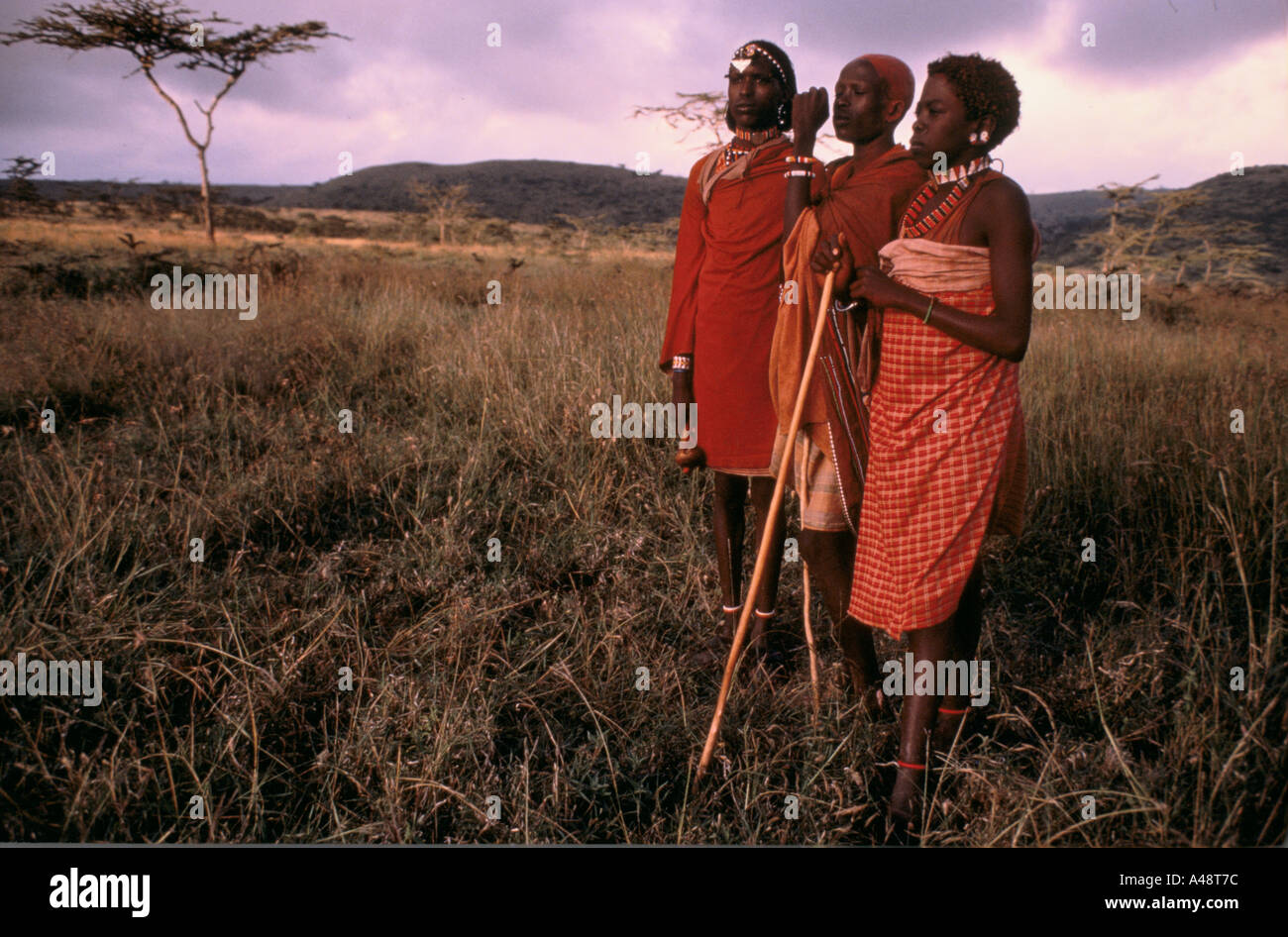 Three teenage masai warriors kenya after their initiation as warriors Stock Photo