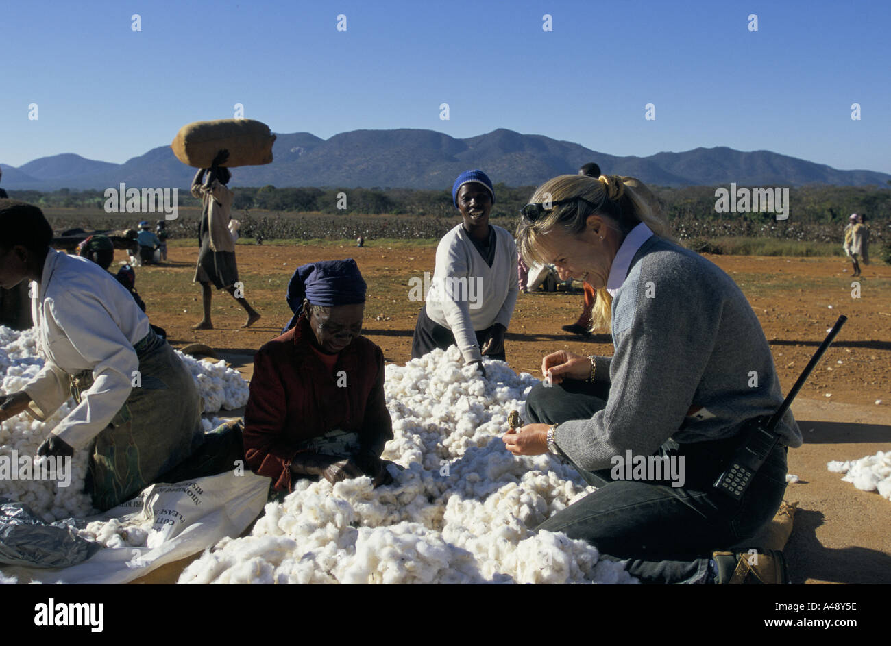 Women farmers zimbabwe lisa nislev hires stock photography and images