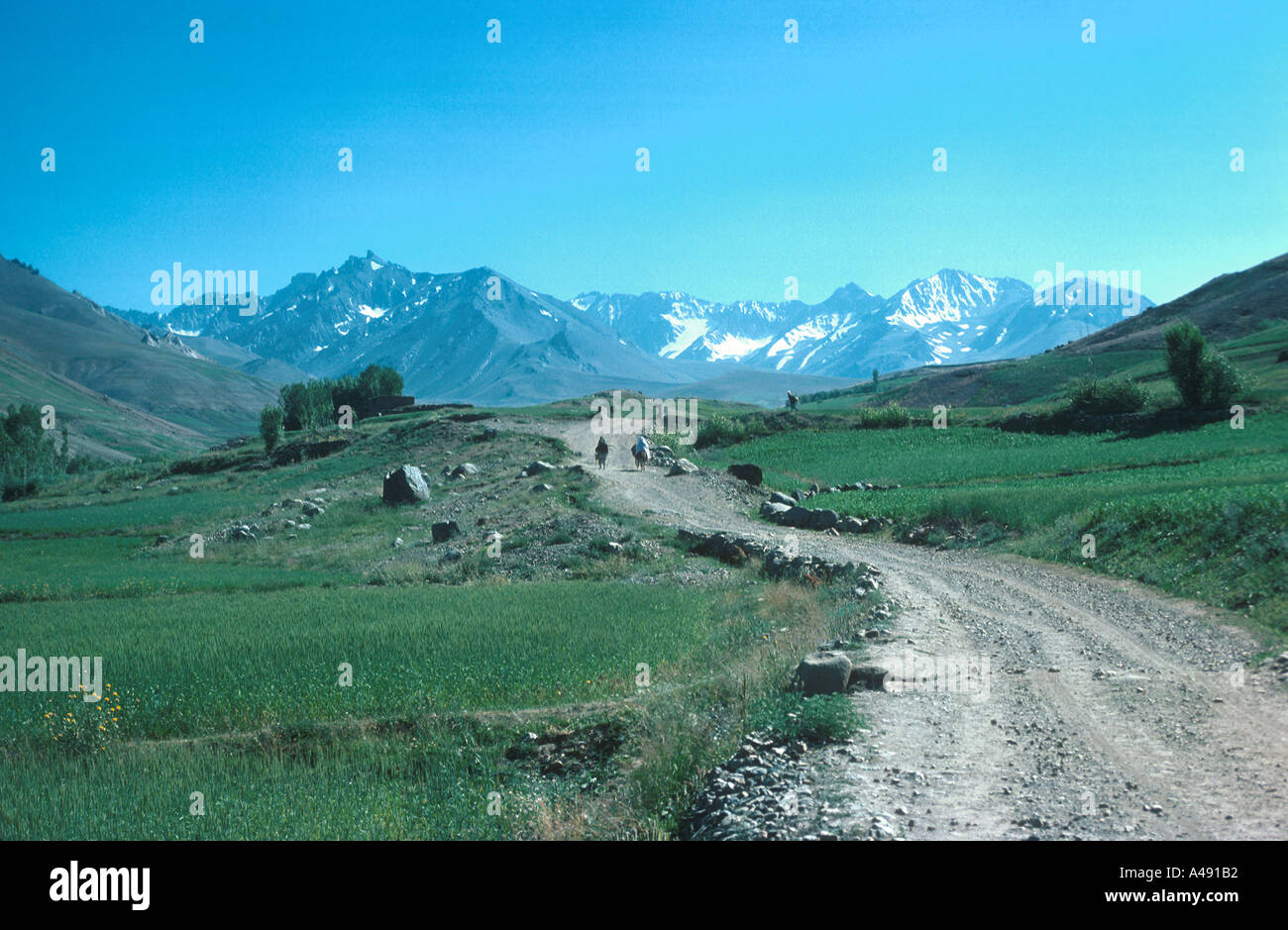 Silk Road Shah Foladi Peak 4951 metres 16 243 feet Shah Foladi valley near Bamiyan Afghanistan Stock Photo