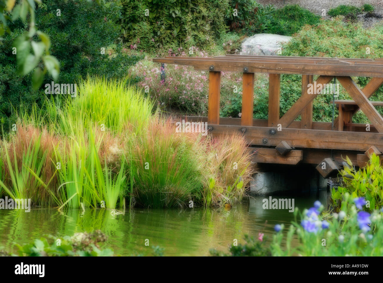 Water orton hires stock photography and images Alamy