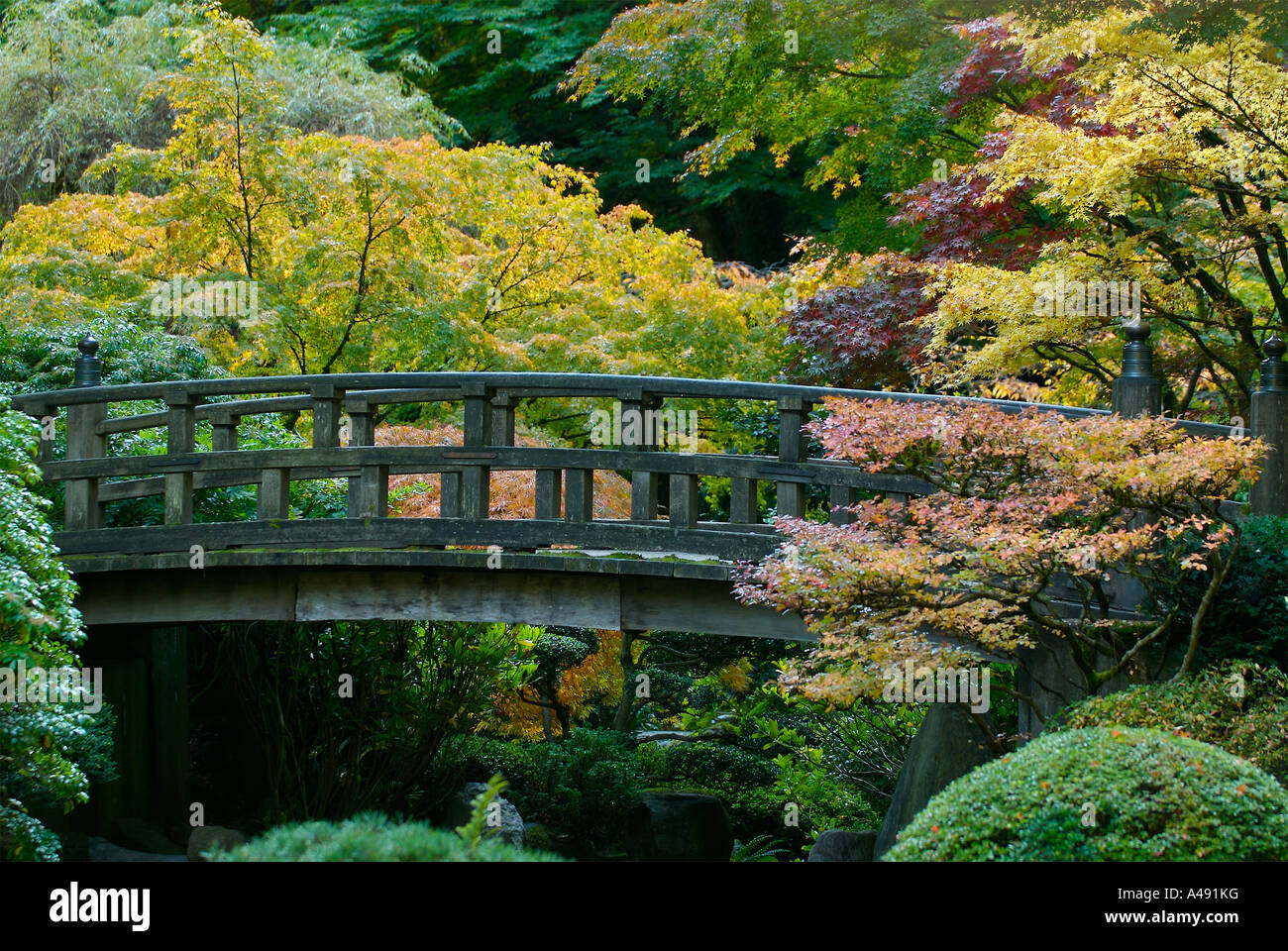 Autumn colours and a strolling bridge in a Japanese garden Stock Photo ...
