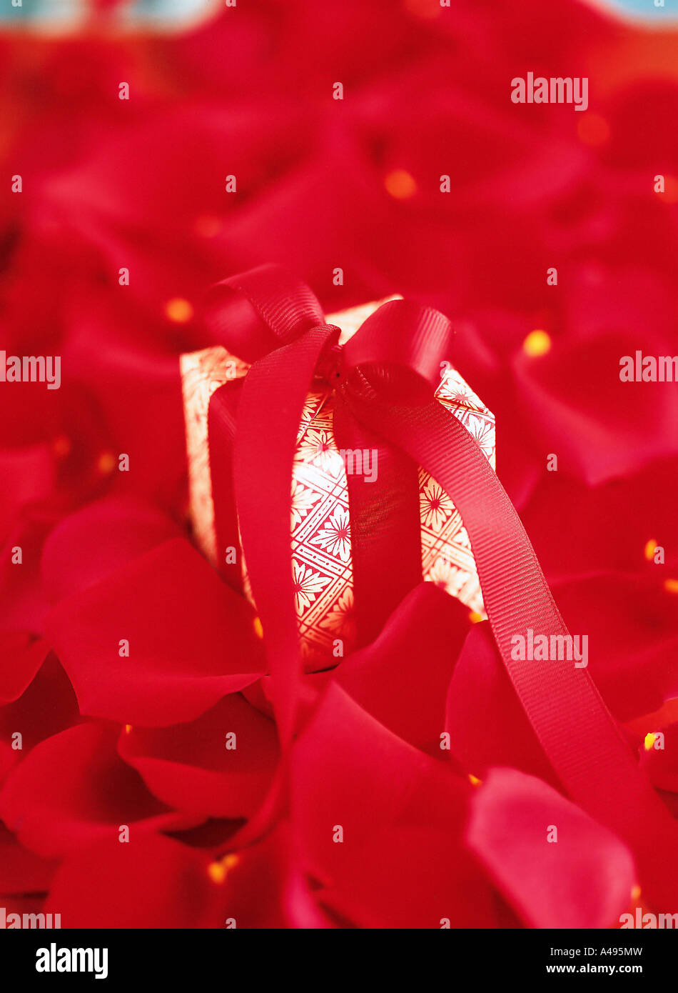 Present box tied knot hi-res stock photography and images - Alamy