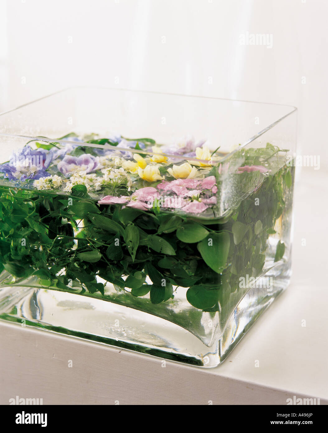 Flowers floating in a glass container Stock Photo - Alamy
