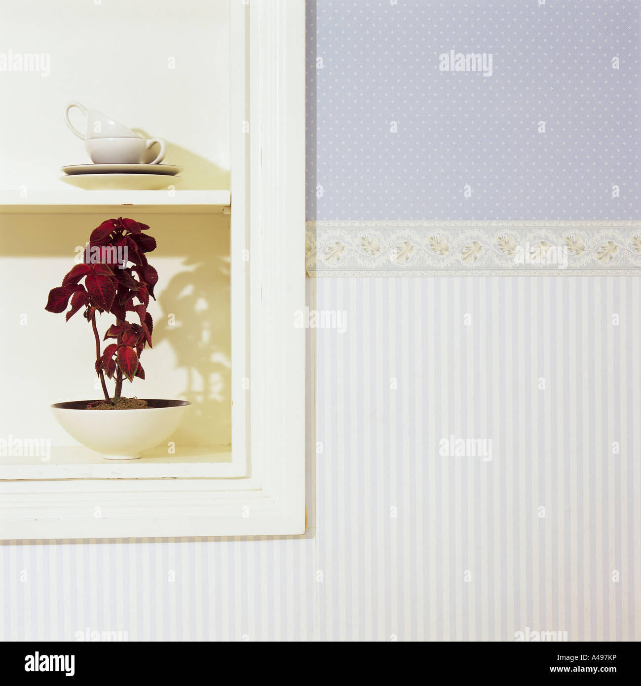 Tea cup and saucers with a vase in a room Stock Photo Alamy