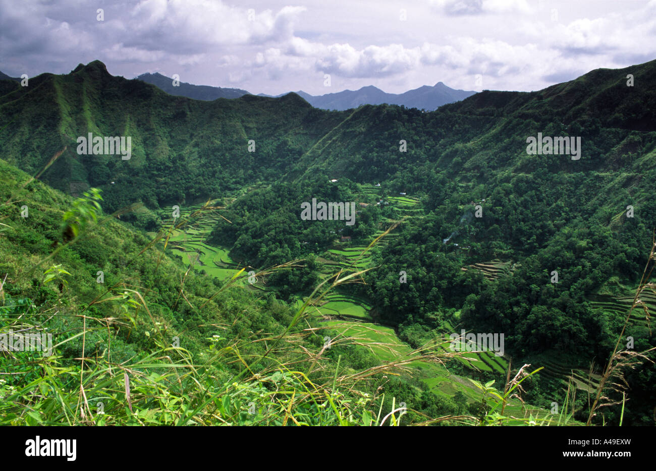 Cordillera mountain range near Batad North Luzon Philippines Southeast