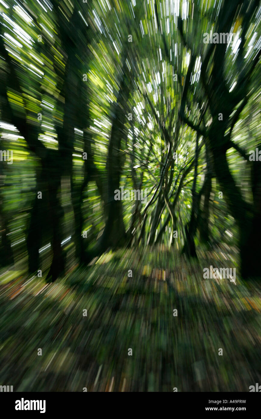 Wood with blurred movement Stock Photo