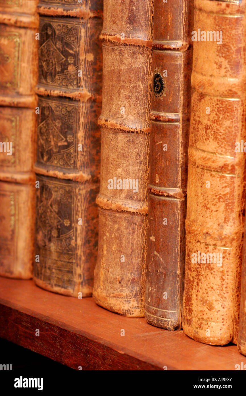 Old leatherbound books on shelf Stock Photo