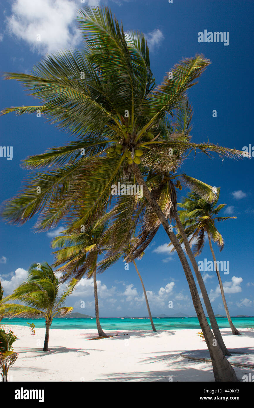 WEST INDIES Caribbean St Vincent The Grenadines Palm Island Beach