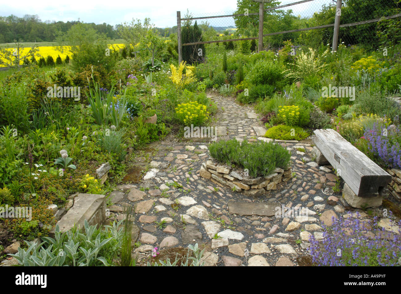Garden path Stock Photo