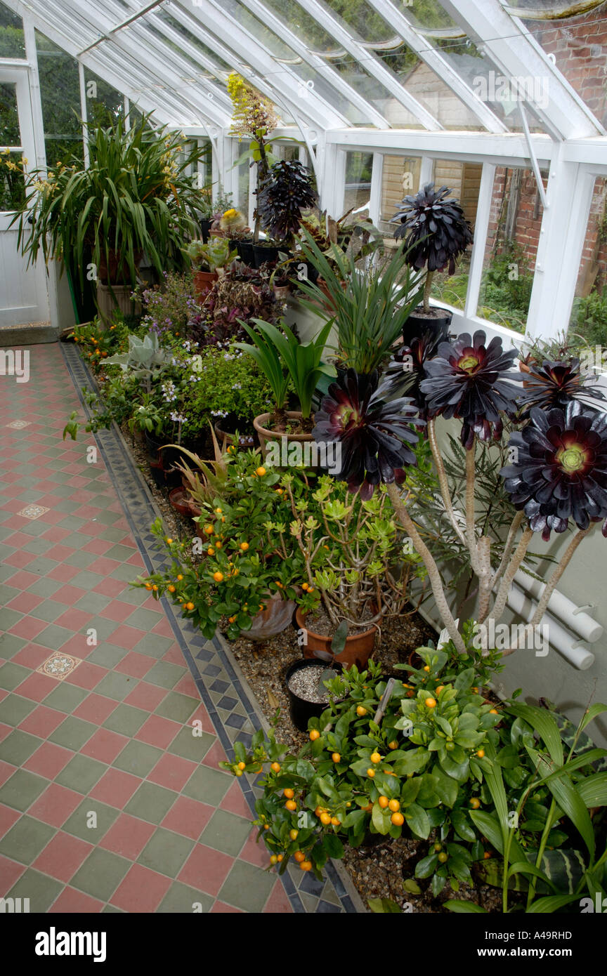 The greenhouse hi-res stock photography and images - Alamy