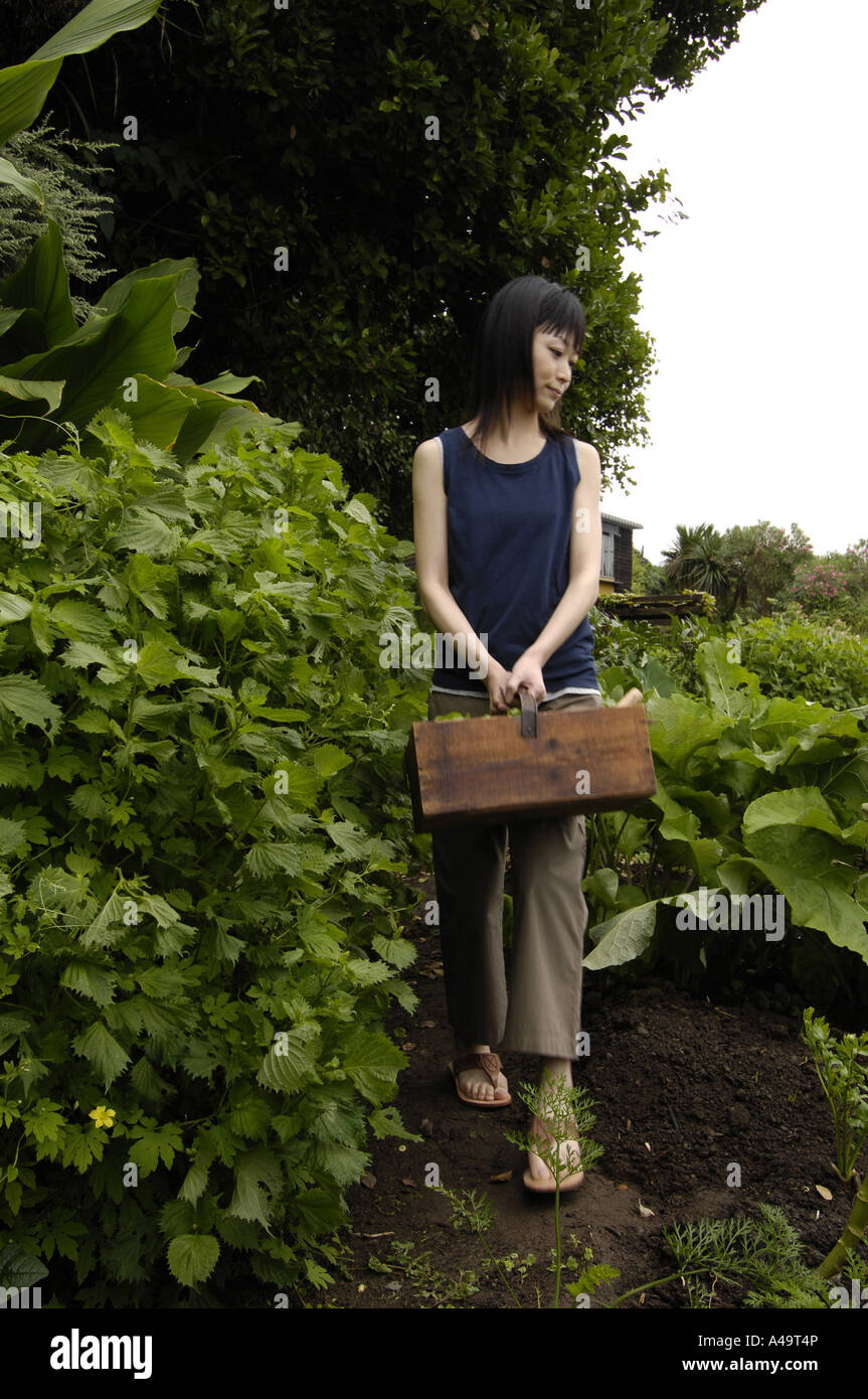 Young woman holding a basket in a garden Stock Photo - Alamy