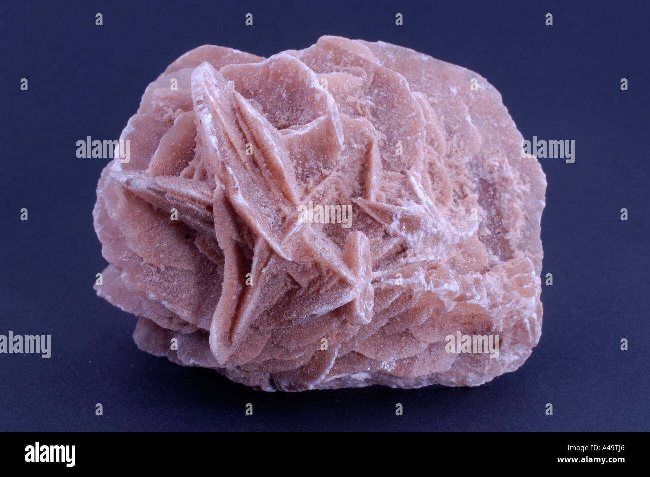 Sand Rosa Sand rose hi-res stock photography and images - Alamy