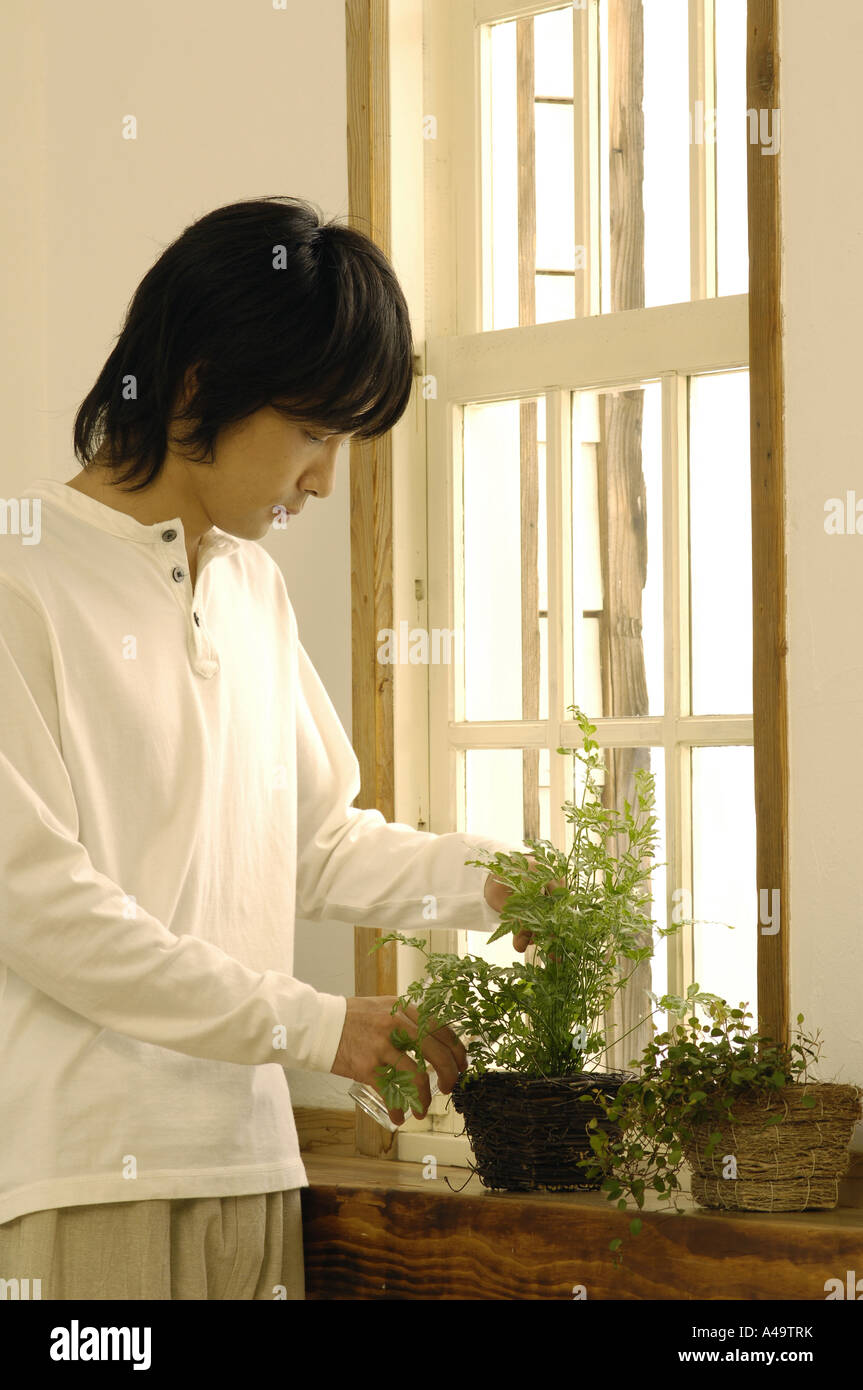 Young man watering a potted plant Stock Photo - Alamy