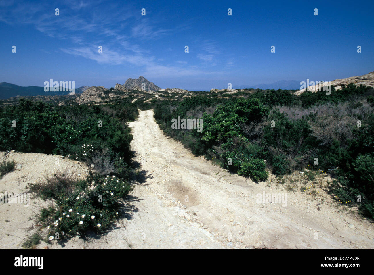 Le Desert des Agriates Corsica island France Europe Stock Photo - Alamy