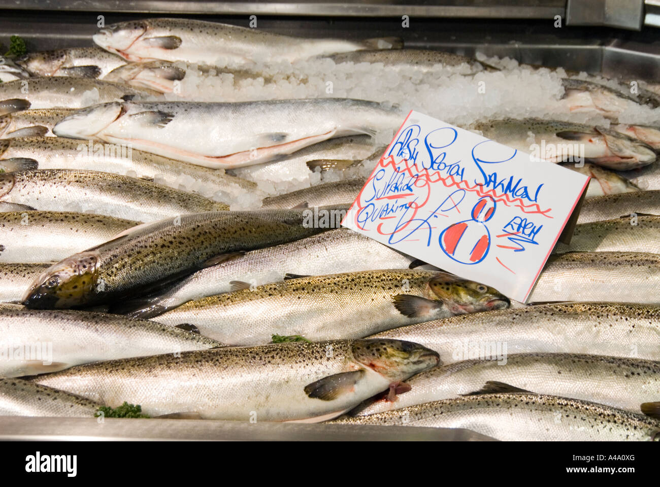 Fresh Salmon fish in Bury market Manchester UK Stock Photo
