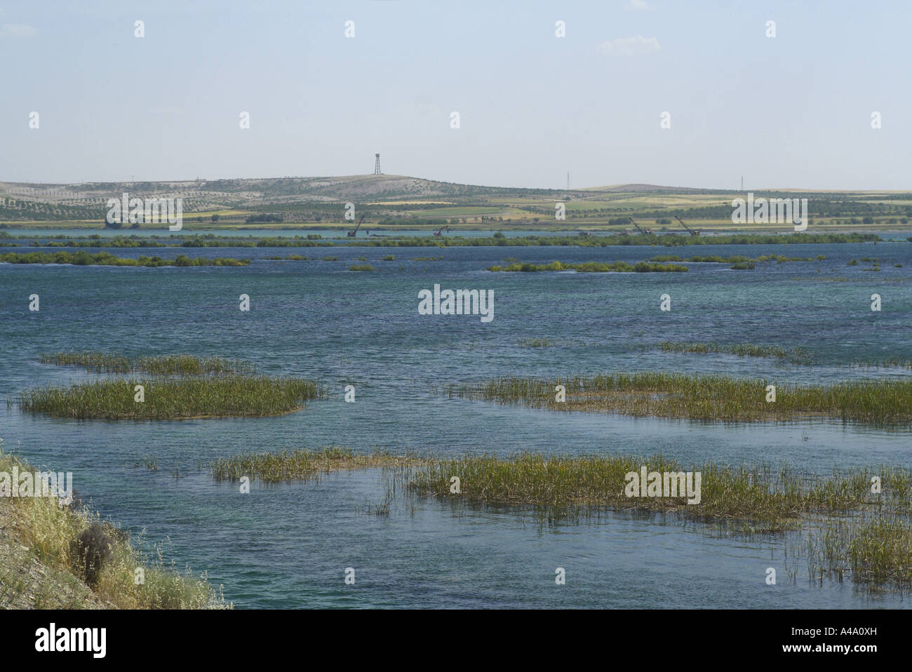 digging of shingle at river Euphrat, Turkey Stock Photo - Alamy