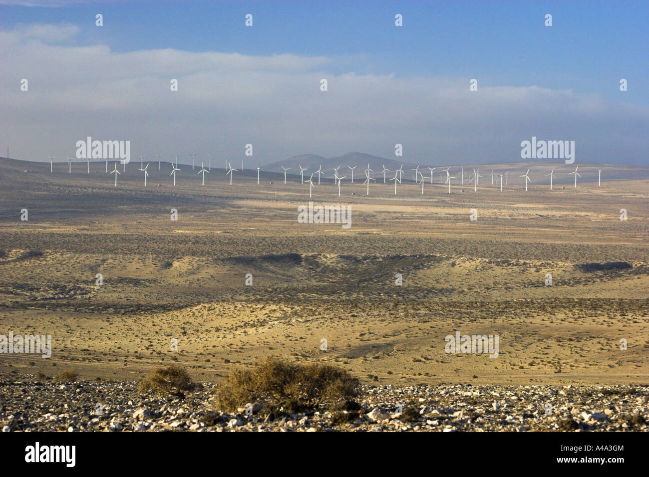 wind farm on Fuerteventura, Spain, Fuerteventura Stock Photo