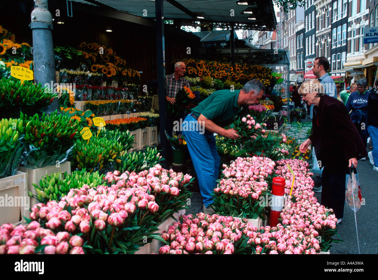 Flower market / Amsterdam Stock Photo Alamy