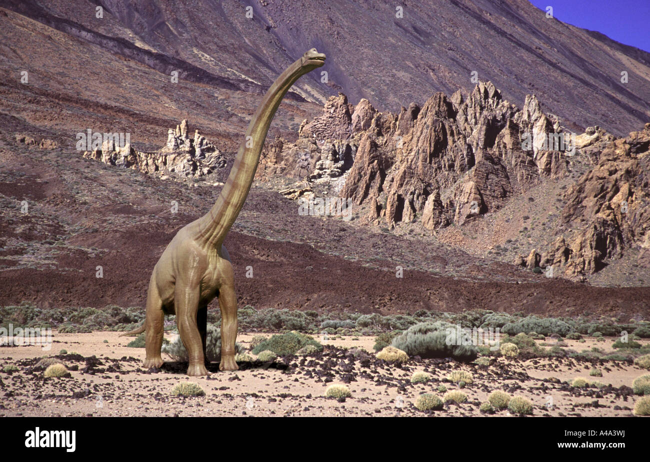 Brachiosaurus in volcanic landscape Stock Photo