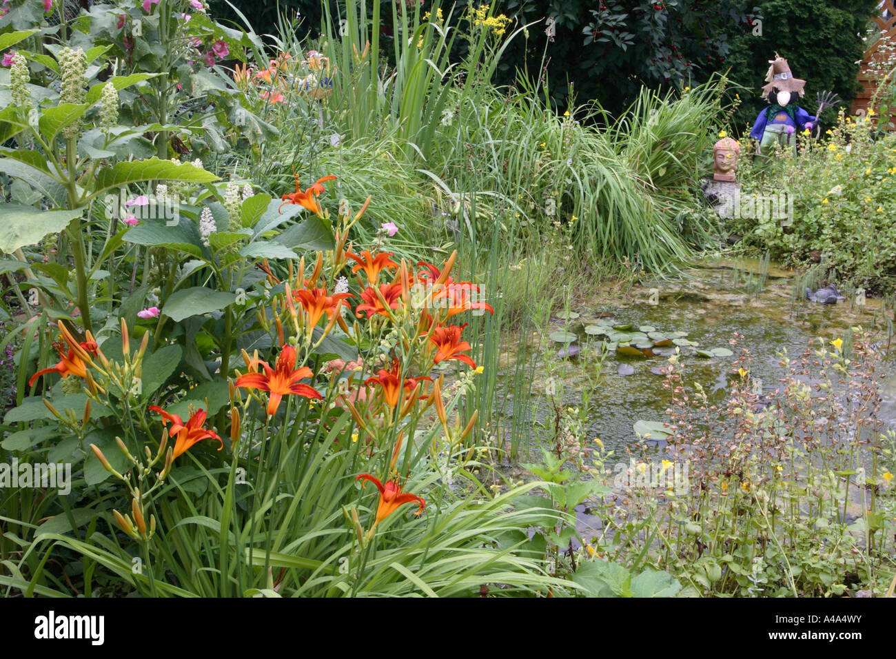 garden pond with flowers in summer Stock Photo