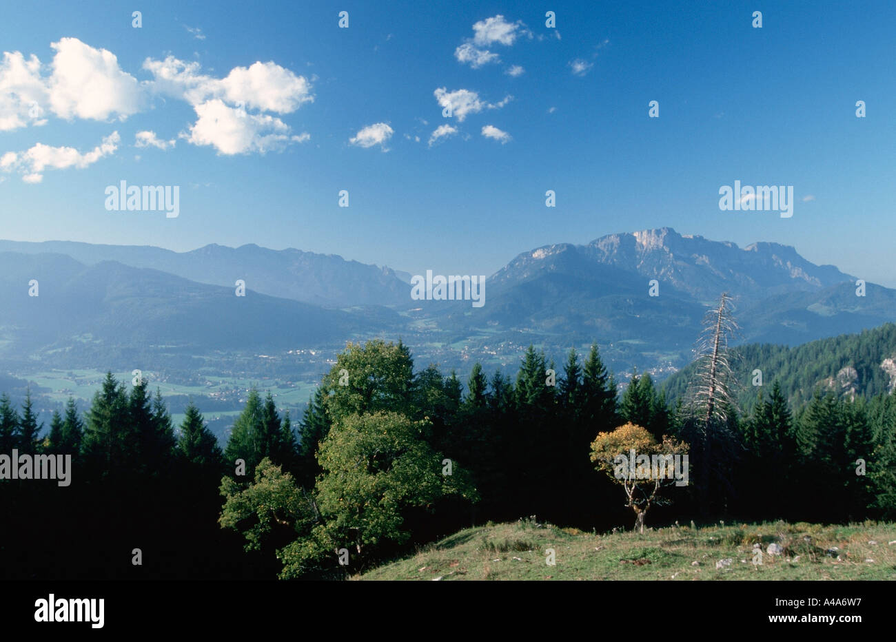 Jenner germany hi-res stock photography and images - Alamy