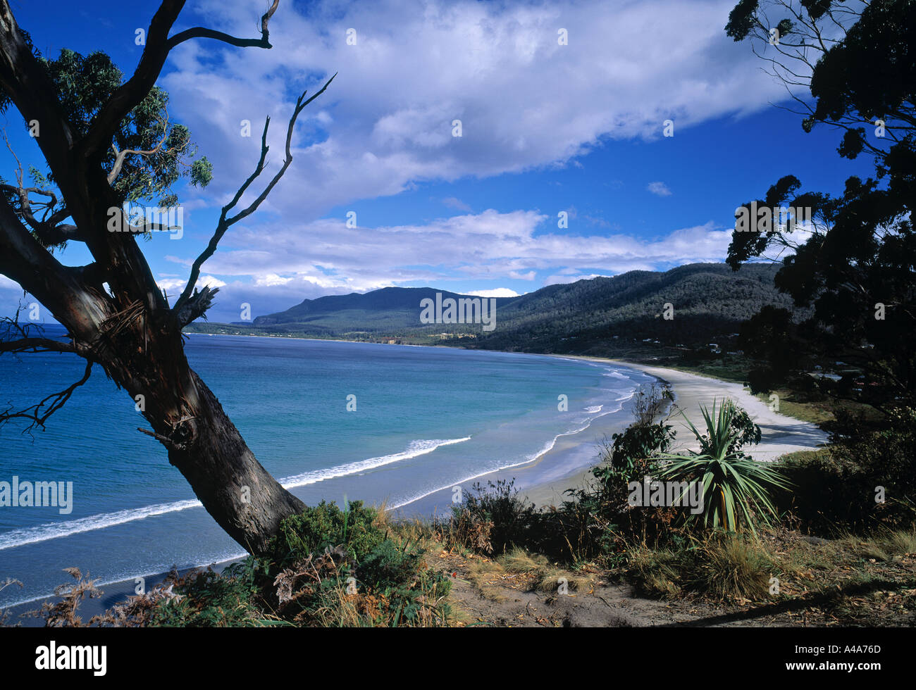 Pirates Bay, Tasmania, Australia Stock Photo Alamy